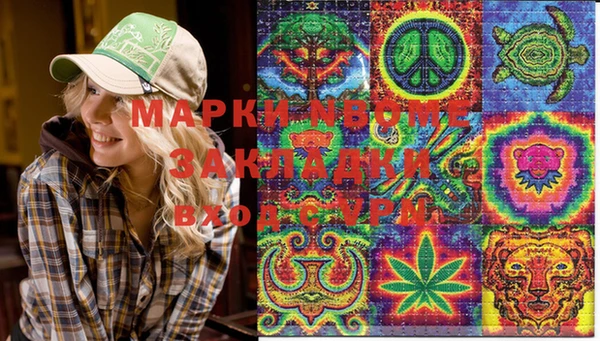 apvp Алексин