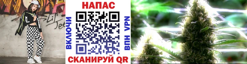 Конопля MAZAR  купить наркотики сайты  Игарка 